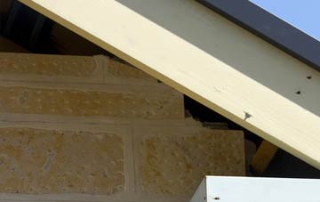 soffit repair Newtown Crommelin